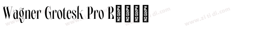 Wagner Grotesk Pro R字体转换